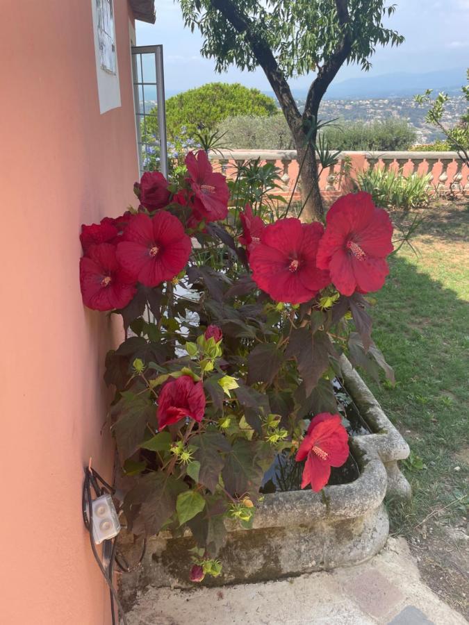 Chambre D'Hotes A L'Ancre Marine De La Villa Rose นีซ ภายนอก รูปภาพ